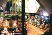 Billabong