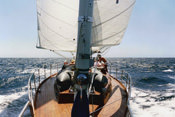 Willow Sailing